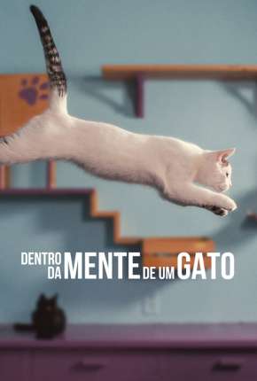 Dentro da Mente de um Gato - Legendado Torrent